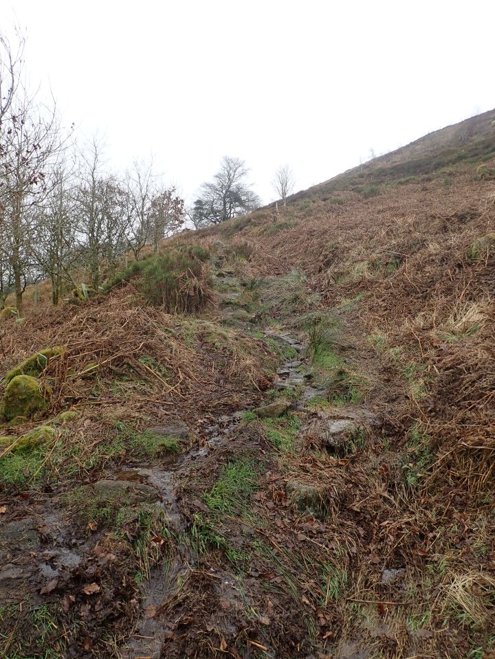 The footpath up Barden Fell.