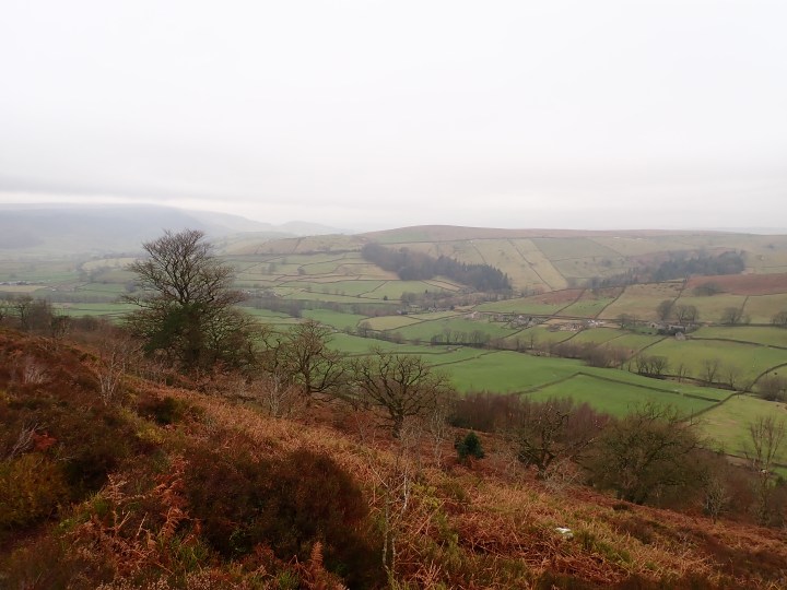 The view of Skyreholme from the slopes of Barden Fell.