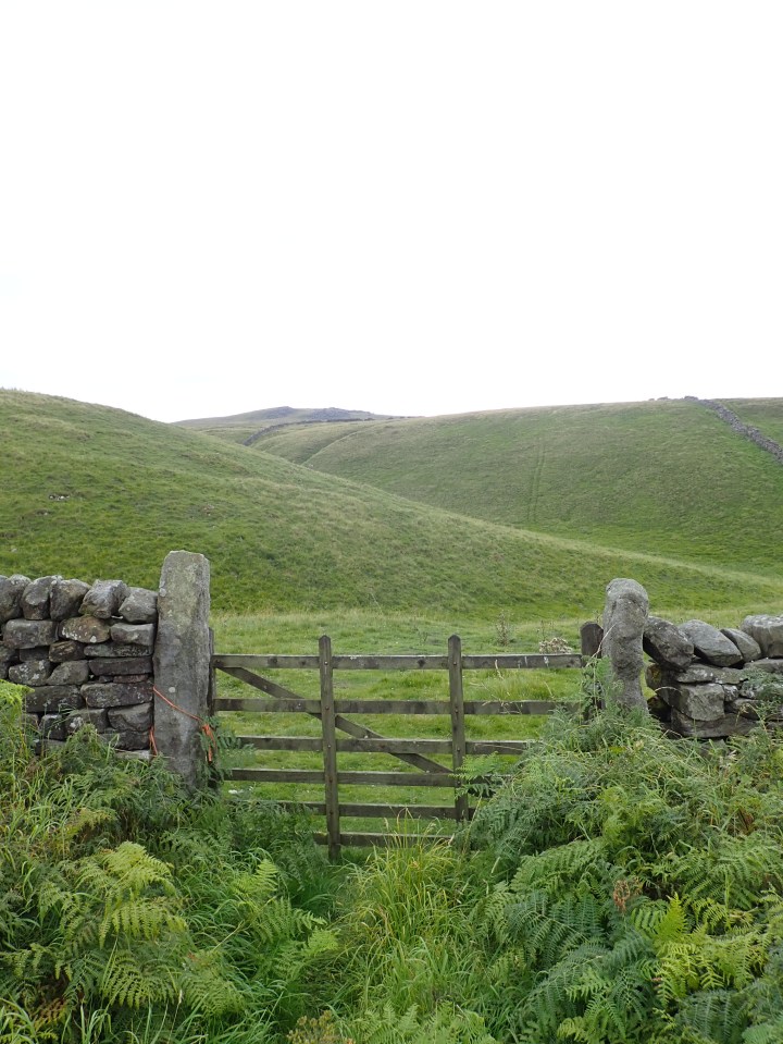Gate near Stump Cross Caverns.